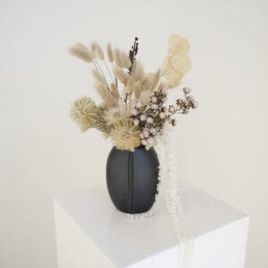Phylica and Bunnies in Black