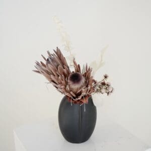 Protea In Black