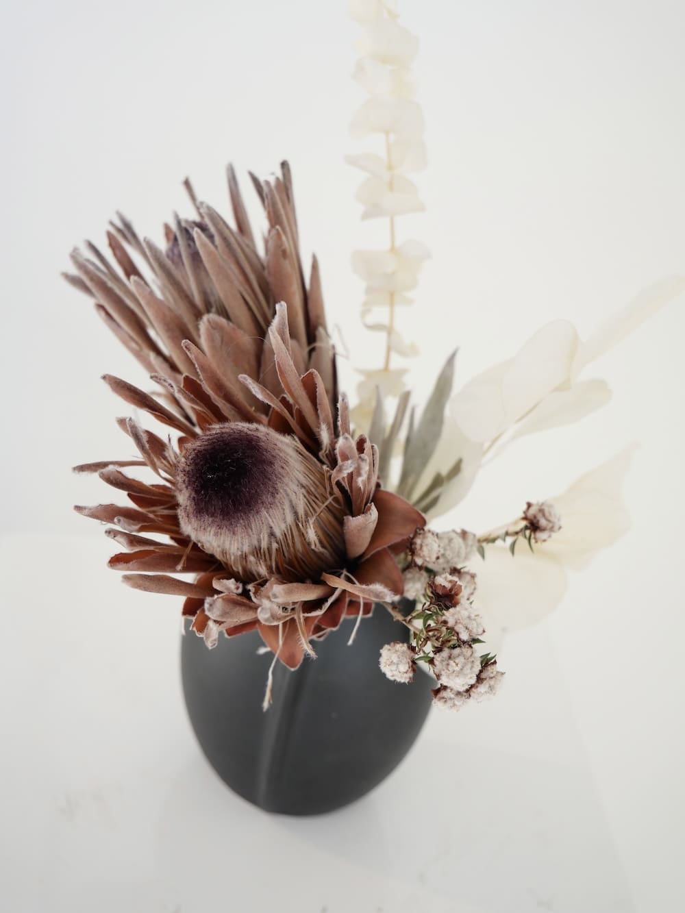Protea In Black - Image 2